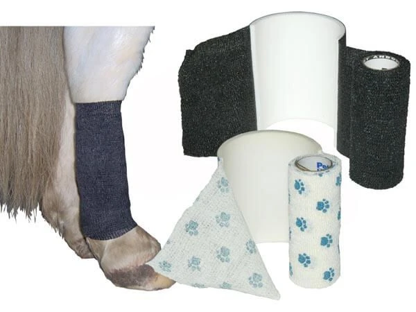 Bandes Cohésives AFD Empreinte 10 Cm X 2.30 M