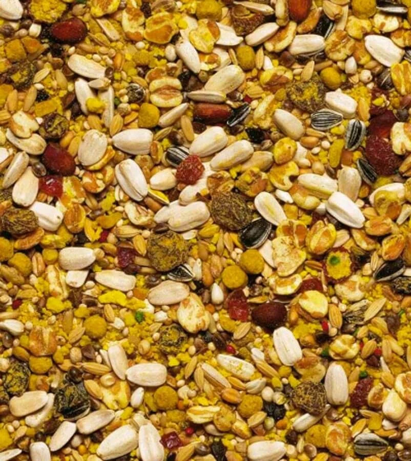 Beaphar XtraVital Perroquets 1 Kg – Image 3