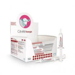 Cévital Energie Veau 20 X 15 Ml