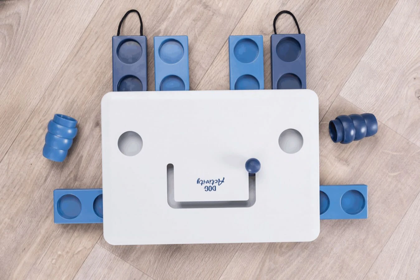 Dog Activity Move2Win – Image 3