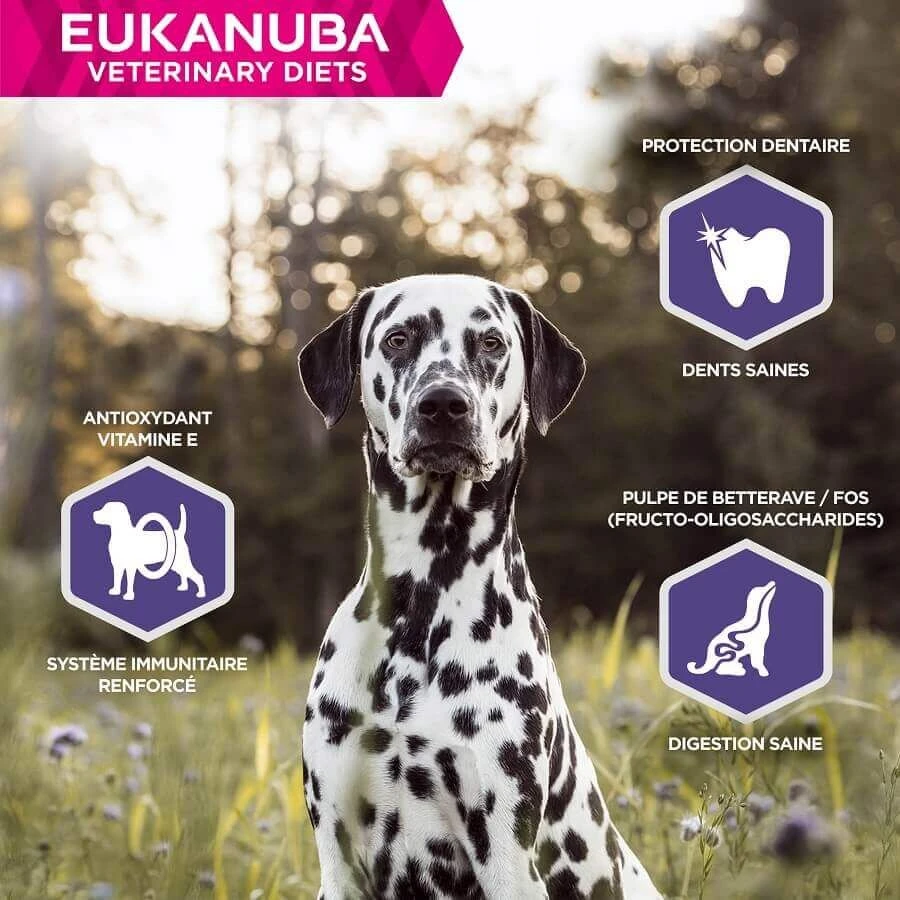 Eukanuba Veterinary Diets Dermatosis FP Chien 5 Kg – Image 6