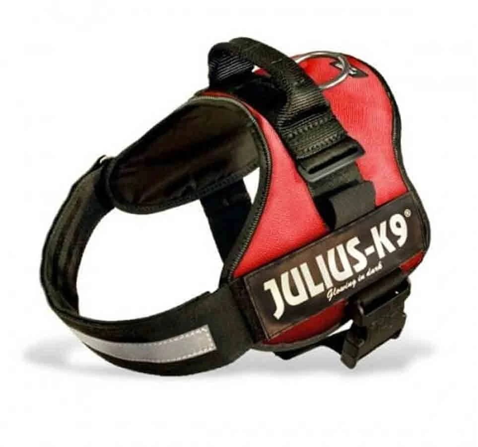 Julius K9 Harnais Power Julius-K9 Rouge MINI 51 à 67 Cm – Image 2