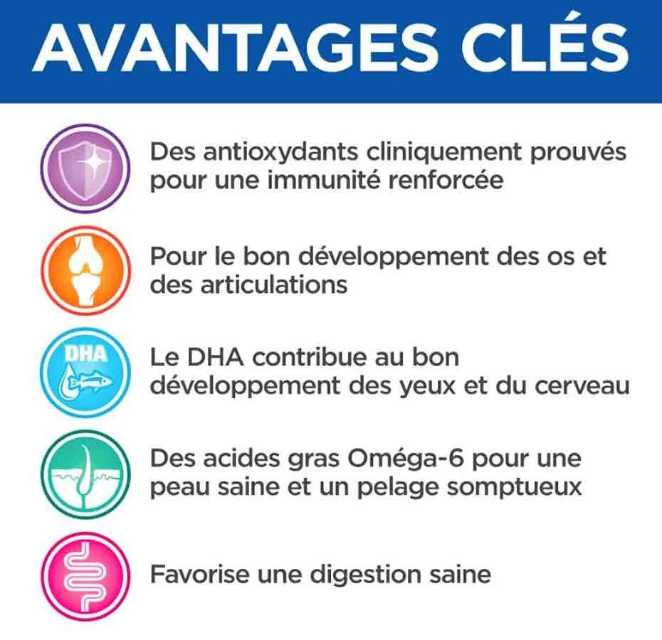 Hill's Science Plan VetEssentials Chiot Growth Medium Poulet 2 Kg – Image 4