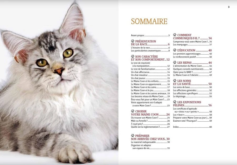 Livre - Maine Coon – Image 2