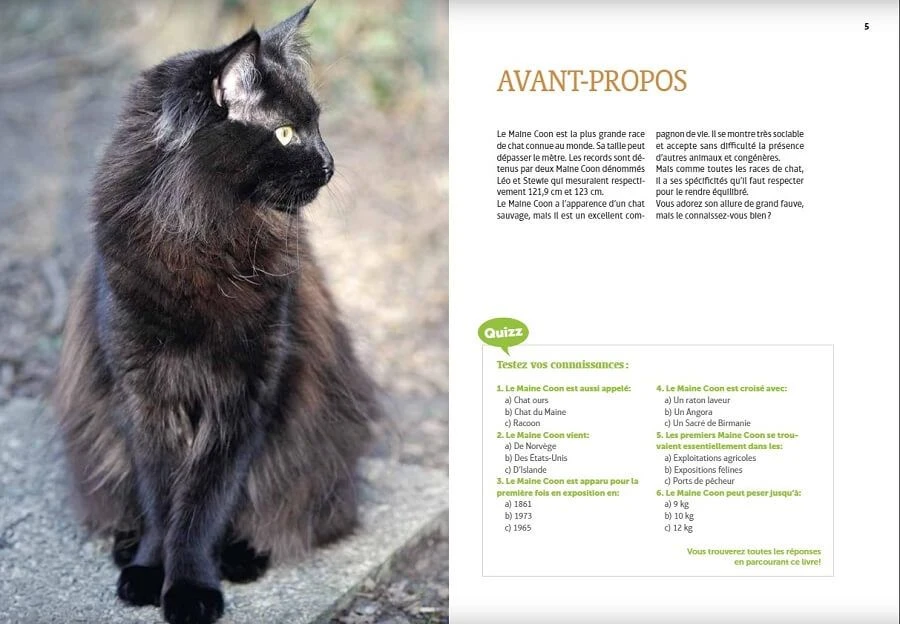 Livre - Maine Coon – Image 3