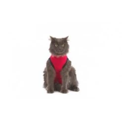 Medical Pet Shirt Chat XXXS