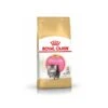 Royal Canin Persian Kitten 4 Kg