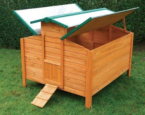 Poulailler Calgary – Image 2