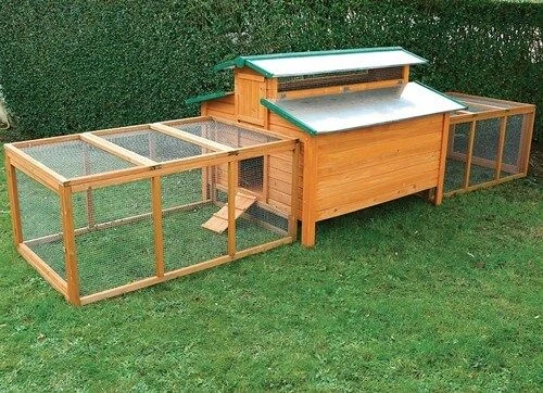 Poulailler Calgary – Image 4