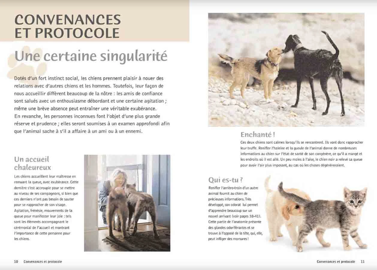 Livre - Pourquoi Mon Chien Fait-il ça ? – Image 2