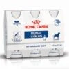 Royal Canin Vet Diet Chien Renal Liquid 3 X 200 Ml