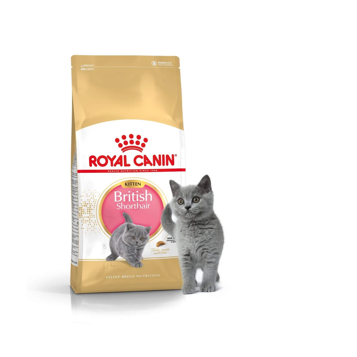 Royal Canin British Shorthair Kitten 2 Kg – Image 2