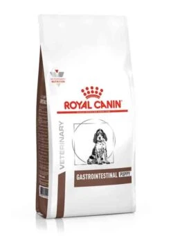 Royal Canin Vet Chien Gastrointestinal Puppy 2.5 Kg
