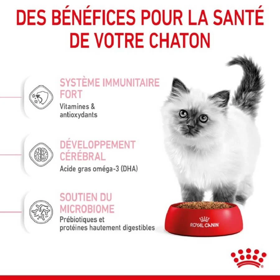 Royal Canin Féline Health Nutrition Kitten Second Age 400 G – Image 4