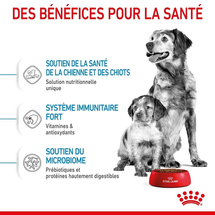 Royal Canin Medium Starter Mother & Babydog 15 Kg – Image 3