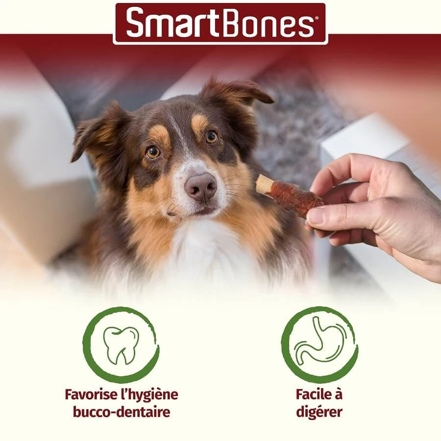 Smartbones Sticks Mini Wrap Au Poulet Pour Chien 9 Pcs – Image 2