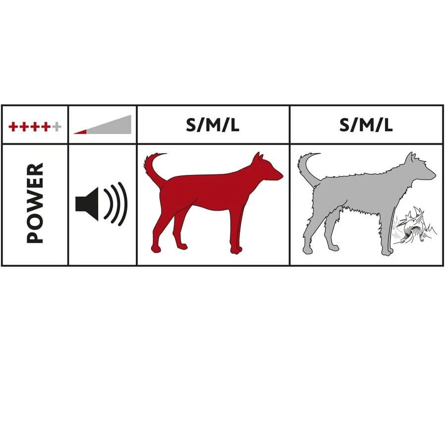 Trixie Set Tondeuse Pro Andis Type MBG-4 Chien – Image 9